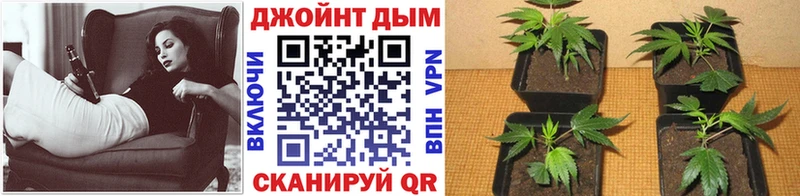 МАРИХУАНА LSD WEED  Малмыж 